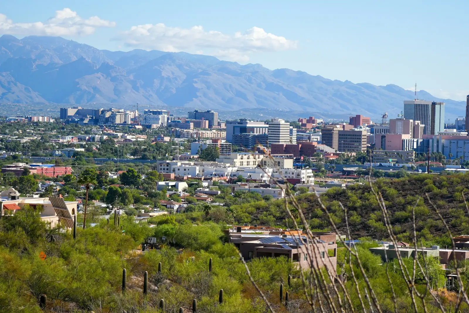 Tucson skyline with the Santa Catalina Mountains behind
