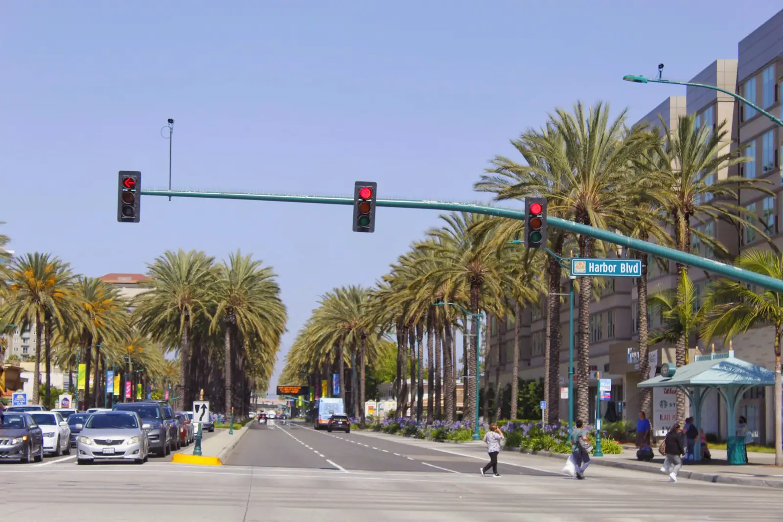 Palm-lined boulevard in Anaheim
