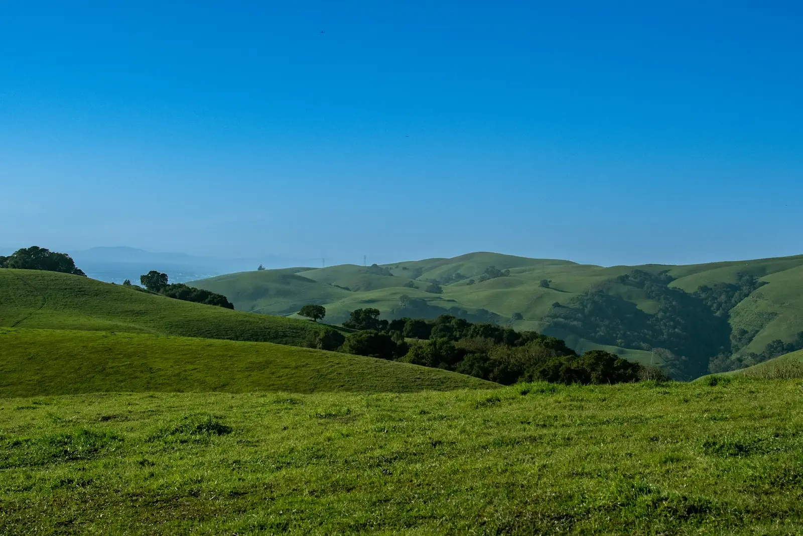 Green East Bay hills above Fremont