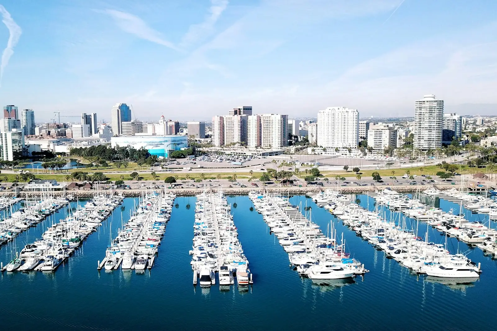 Long Beach marina with the downtown skyline