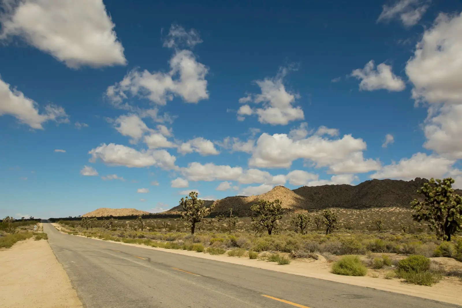 High-desert road with Joshua trees near Palmdale
