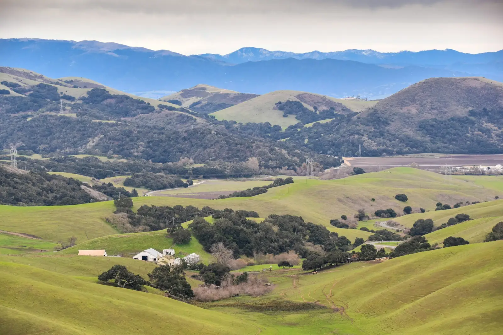 Green hills of the Salinas Valley
