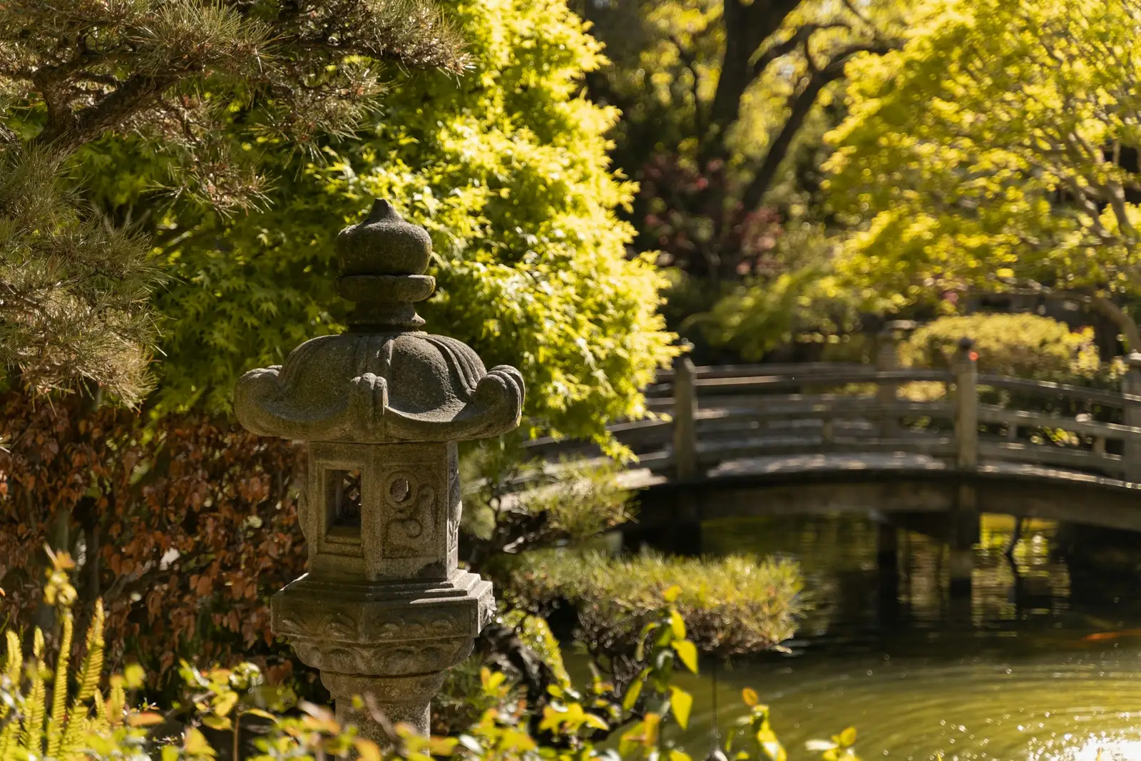 Stone lantern and bridge in the Japanese Tea Garden in Central Park, San Mateo