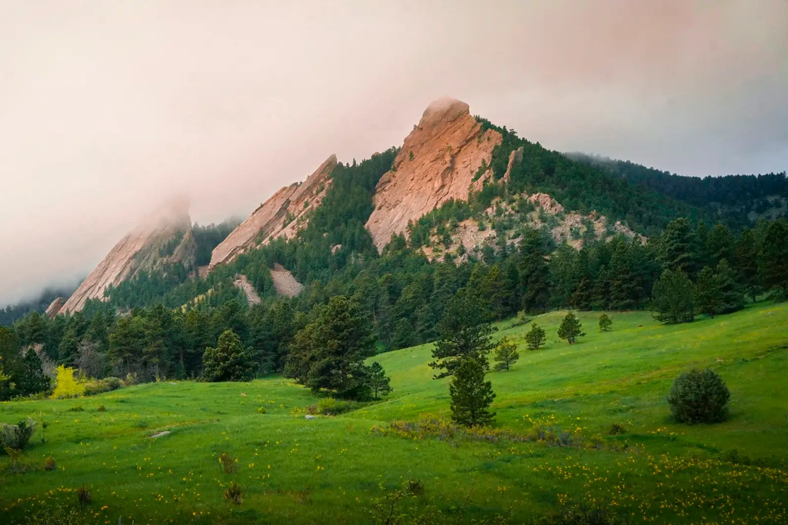 The Flatirons rising above green meadows in Boulder, Colorado