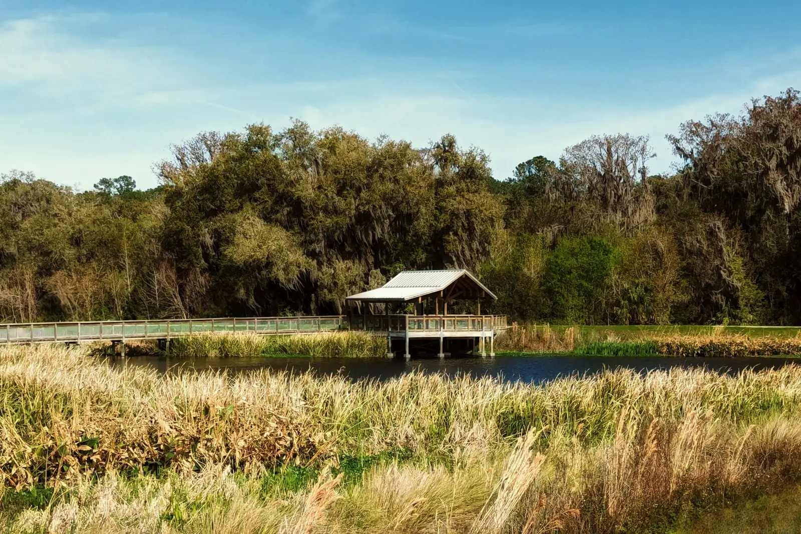 Prairie wetland and shelter near Gainesville