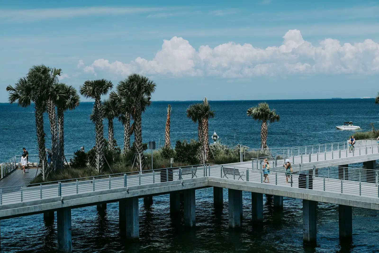 Palm-lined pier on the St. Petersburg waterfront