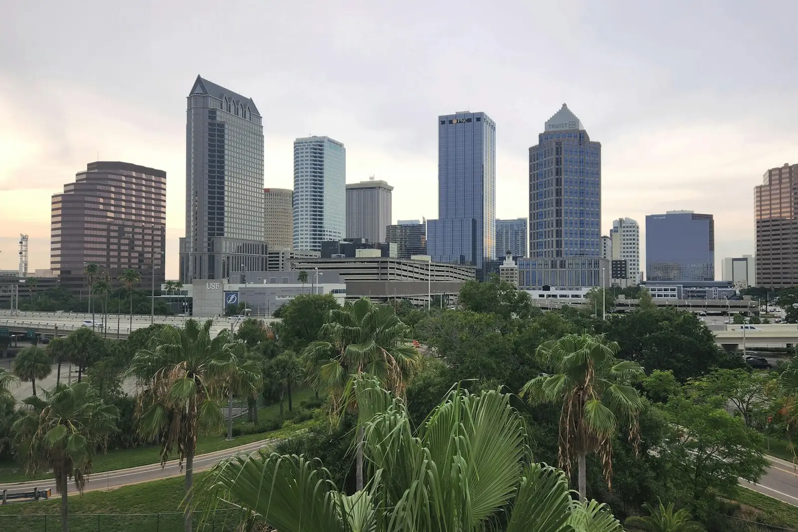 Downtown Tampa towers above palm trees