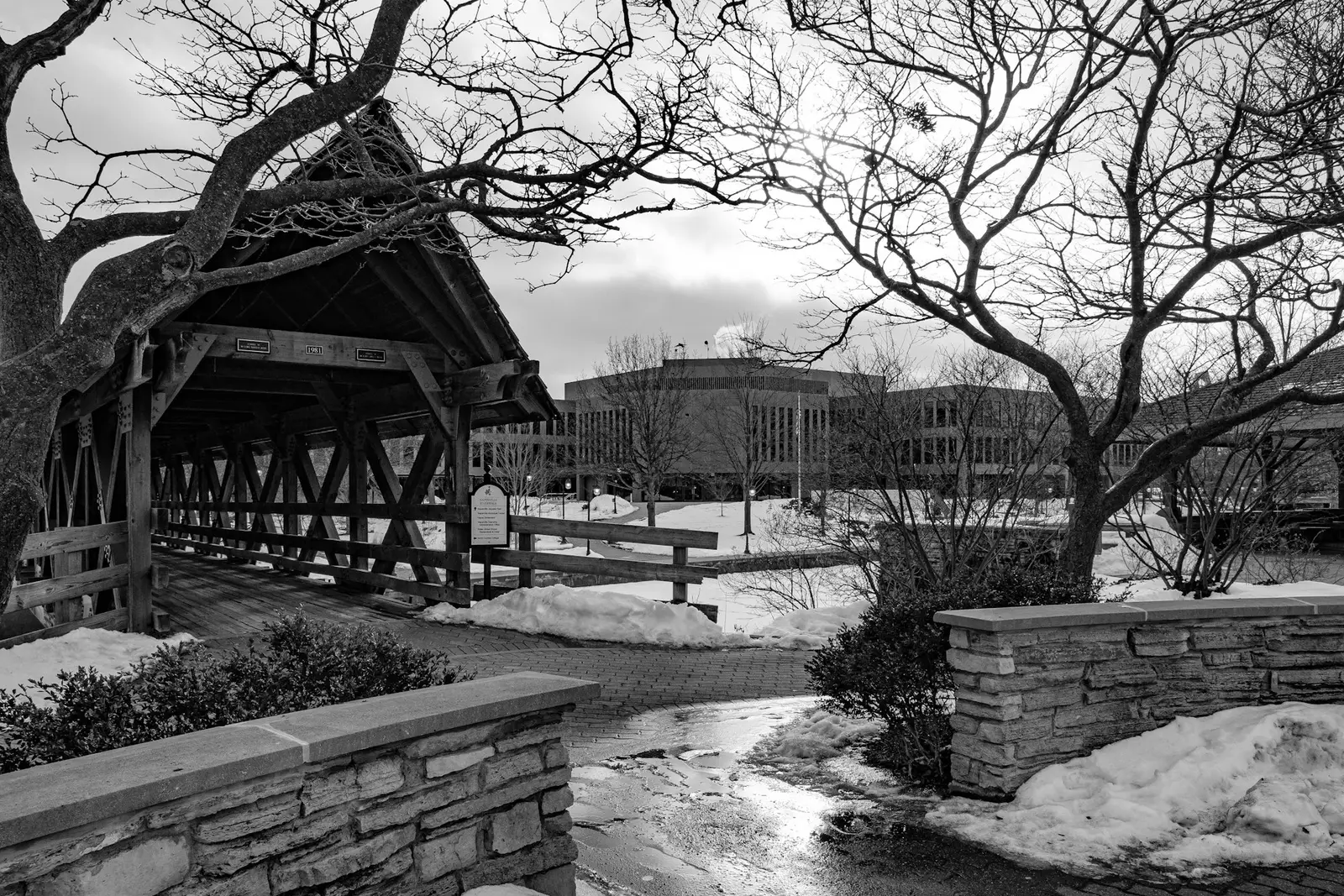 Covered bridge on the Naperville Riverwalk