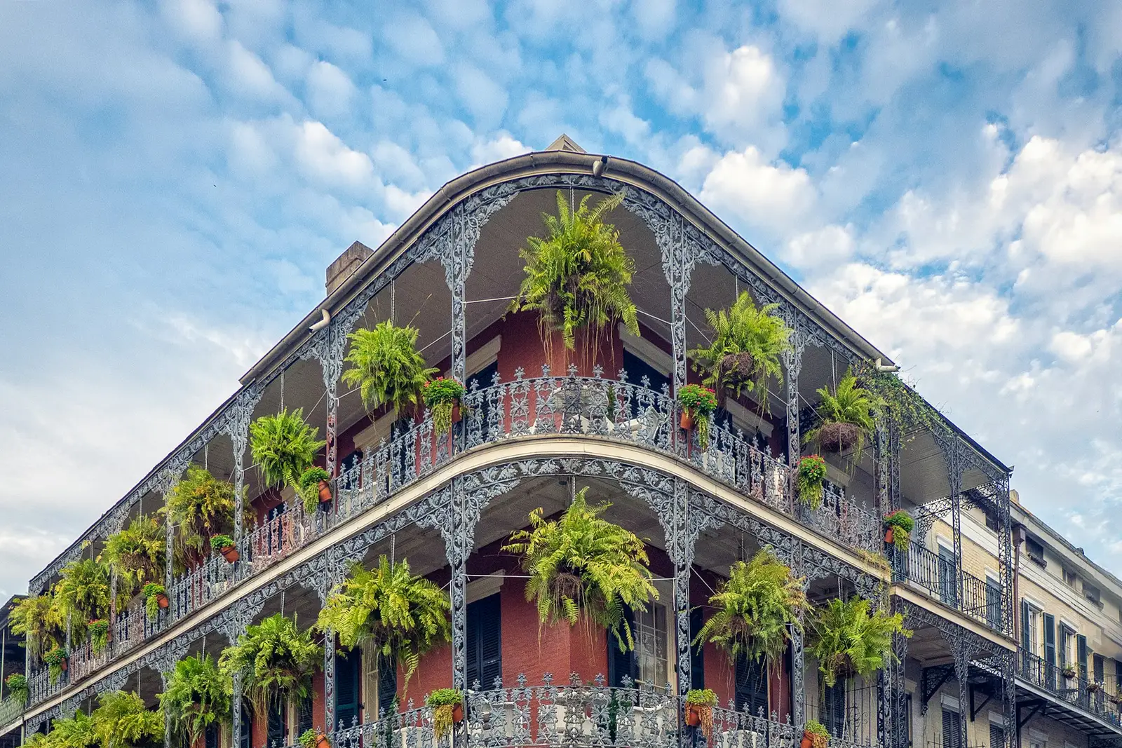 French Quarter balconies with hanging ferns in New Orleans